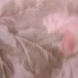 Meet your Posher, Amelia